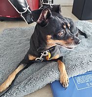 Coco