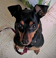 Ella