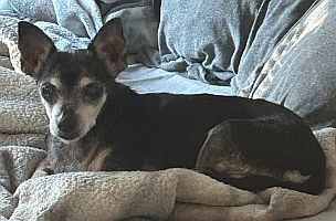 Snickers