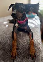Tillie