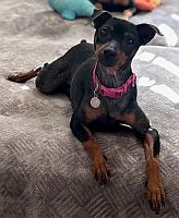 Tillie